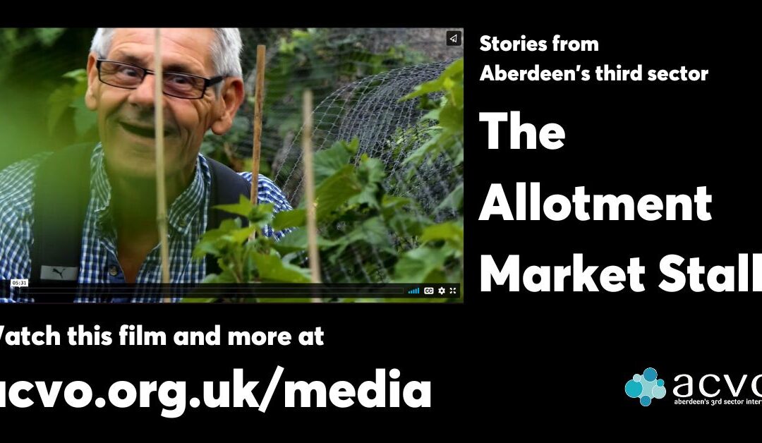 The Allotment Market Stall: ‘Growing Healthy’ Vegetable Garden Project