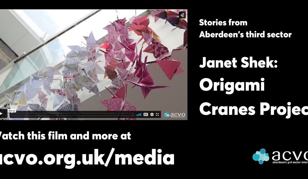 Origami Cranes Project