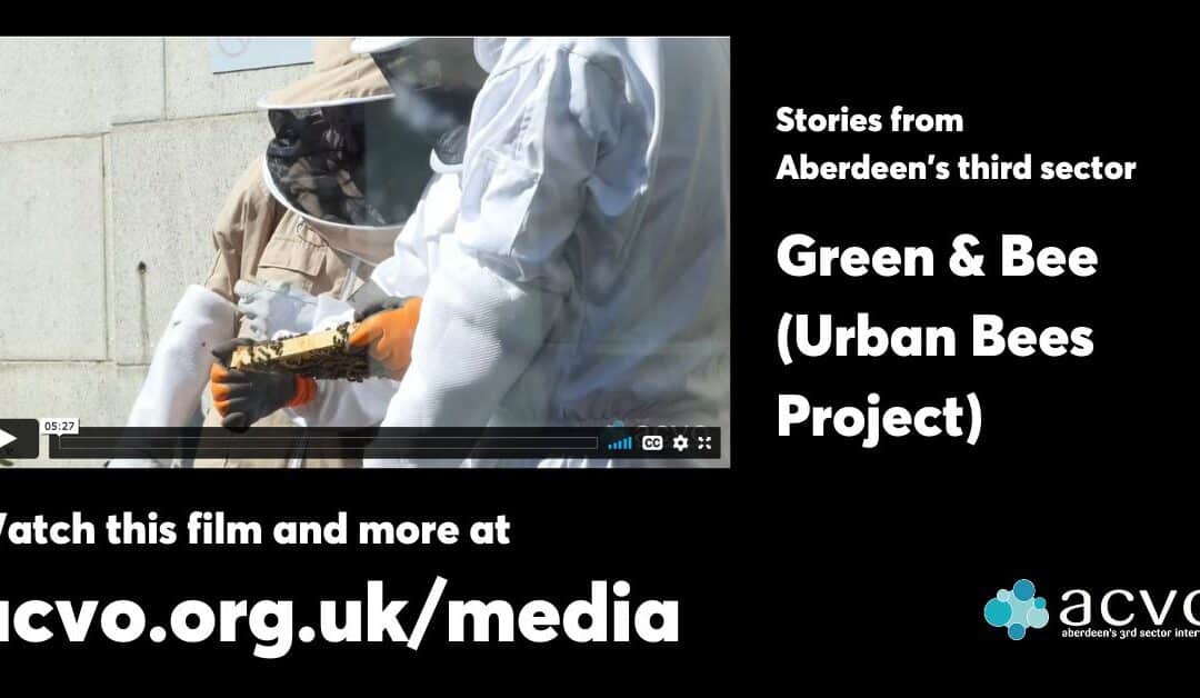 Green & Bee (Urban Bees Project)