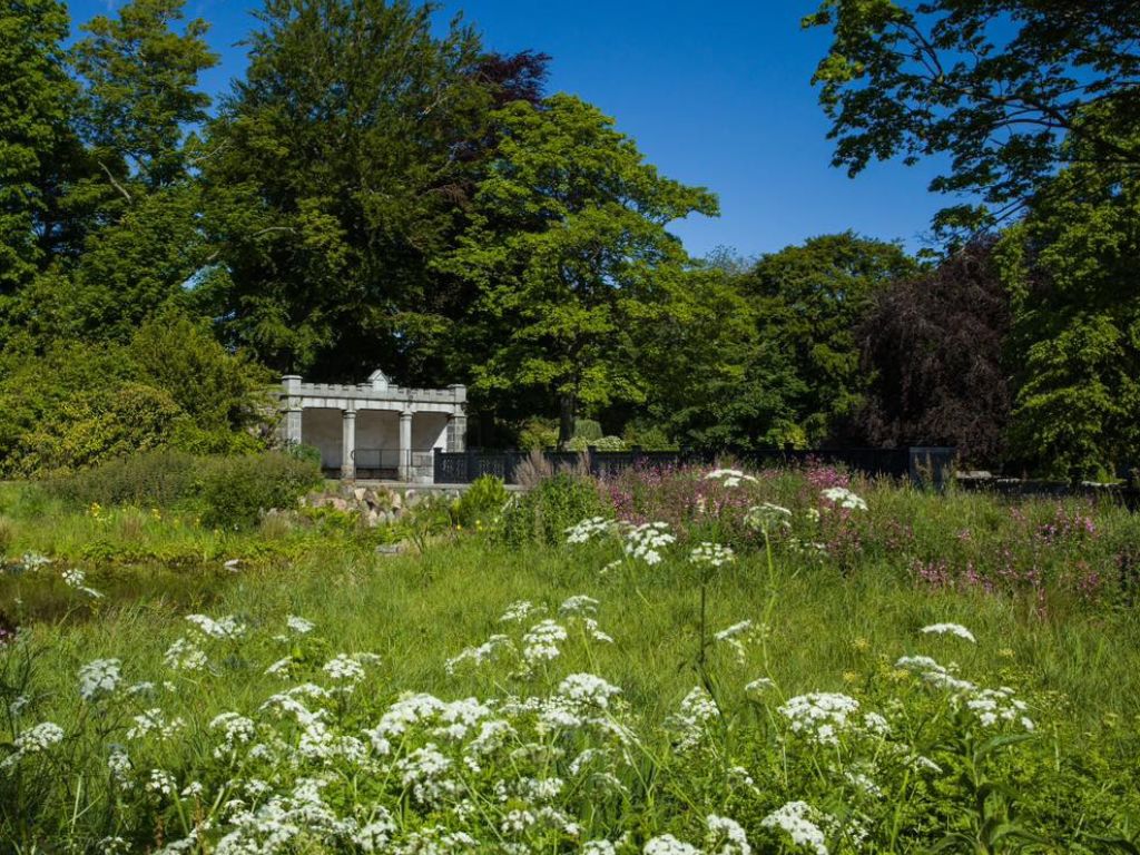 the-morningfield-association