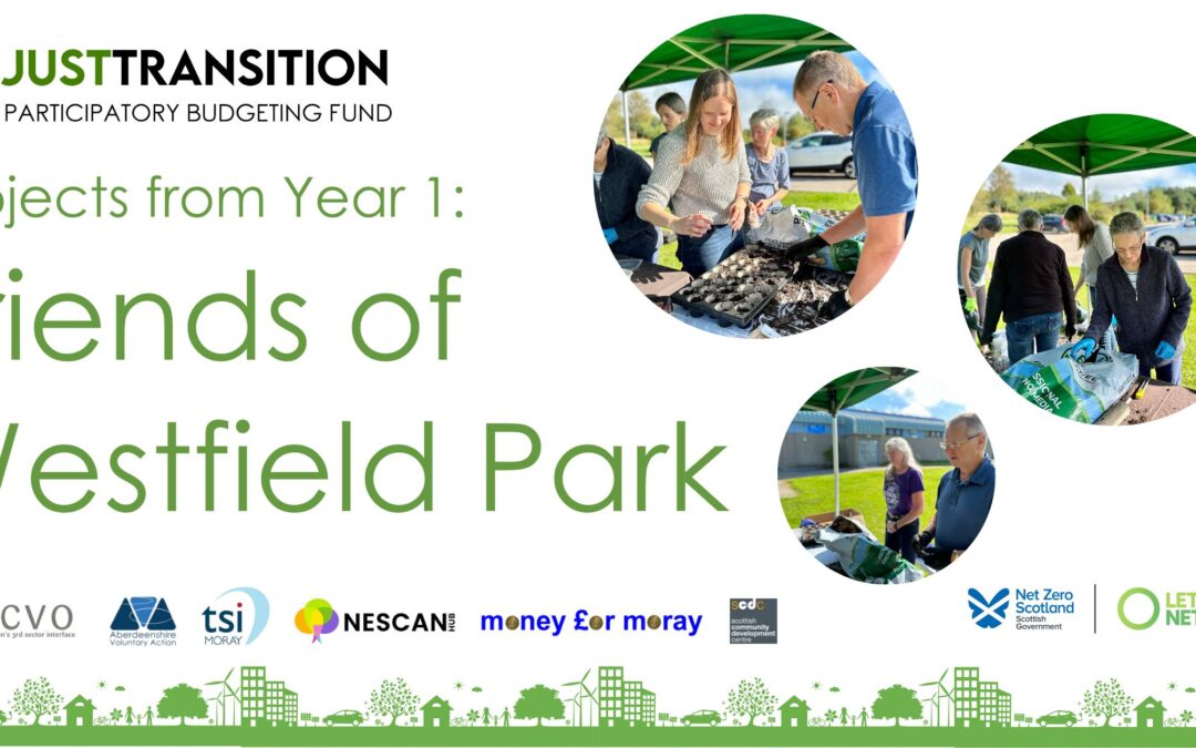 Just Transition PB Fund – Friends of Westfield Park
