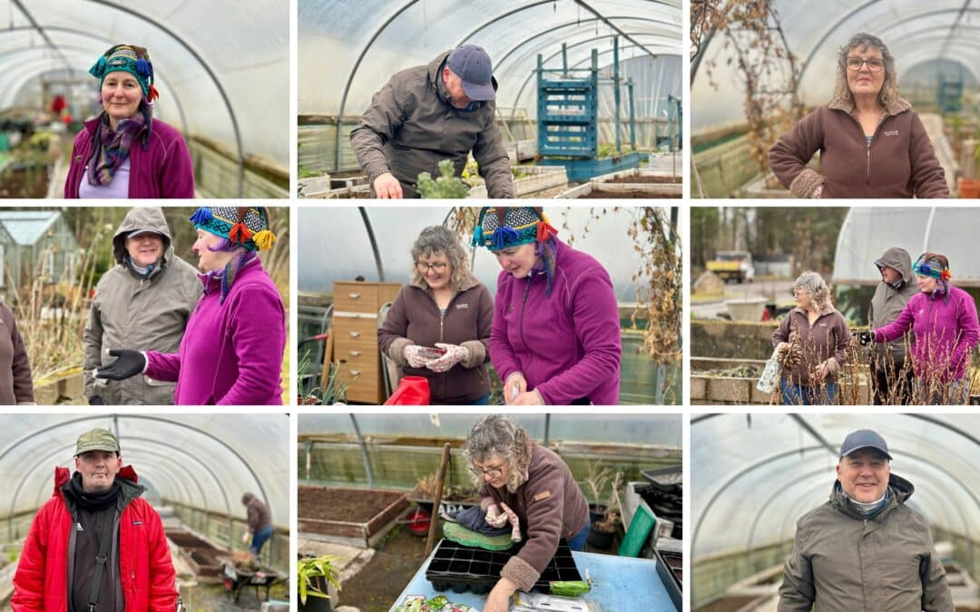 Volunteering with the Alcohol & Drugs Action Garden Project: ACVO News Feature