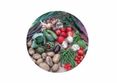 Tullos Crescent Allotments Association