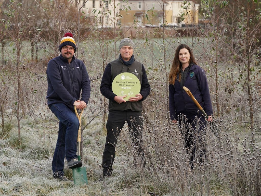 urban-forestry-programme